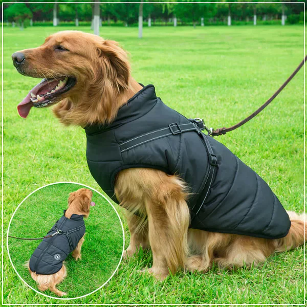 Furcata™ winterjas voor honden | 50% KORTING - Image 3