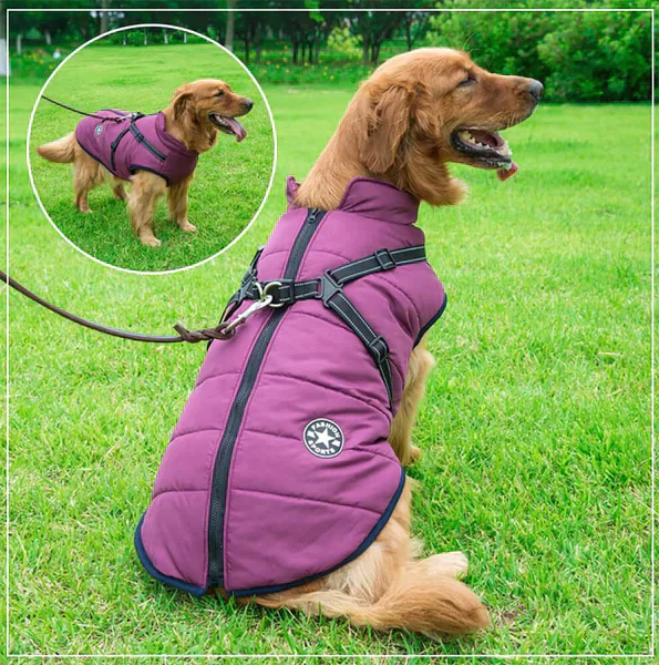 Furcata™ winterjas voor honden | 50% KORTING - Image 4