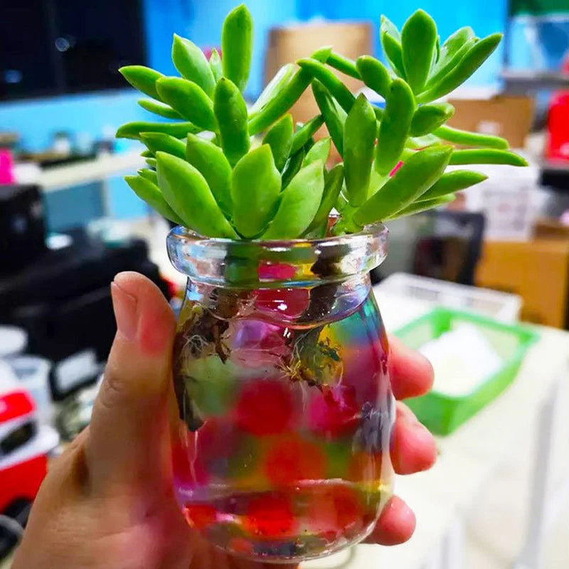 AquaGlow - Kristallen waterkraal  | 50% KORTING - Image 6