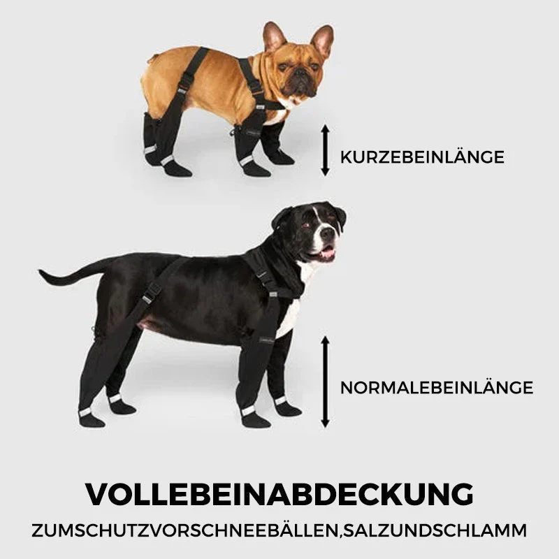 PawGuard™ - Veilige en comfortabele poten | 50% KORTING - Image 10